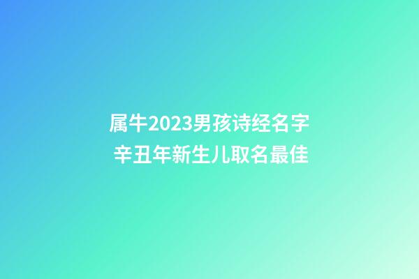 属牛2023男孩诗经名字 辛丑年新生儿取名最佳